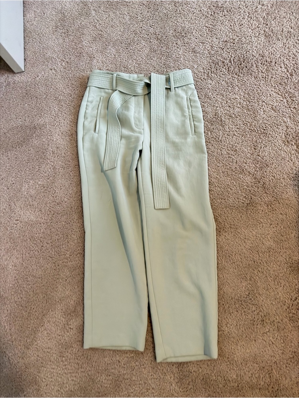 Aritzia Wilfred Mint Green High-Rise Straight-Leg Pants with Belt
